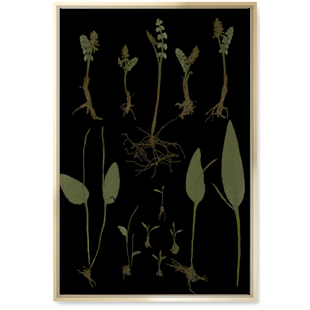 Botanicals At Midnight - Black and Green Wall Art, Gold, Single piece, Canvas, 20x30, Black