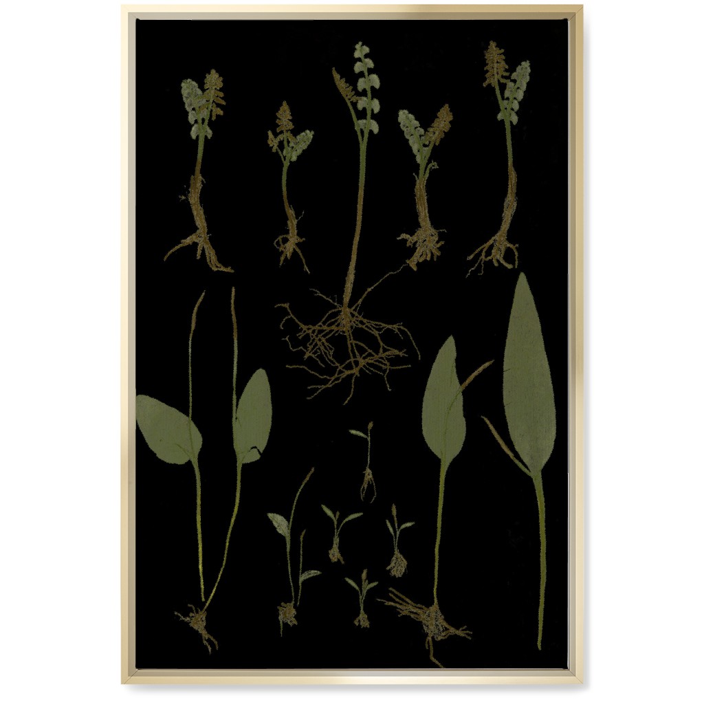 Botanicals At Midnight - Black and Green Wall Art, Gold, Single piece, Canvas, 20x30, Black, Black