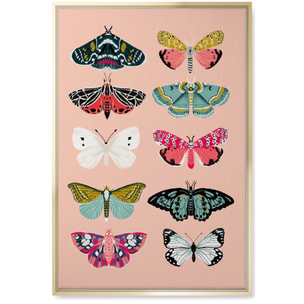 Moths & Butterflies Botanic Nature - Multi on Pink Wall Art, Gold, Single piece, Canvas, 20x30, Multicolor