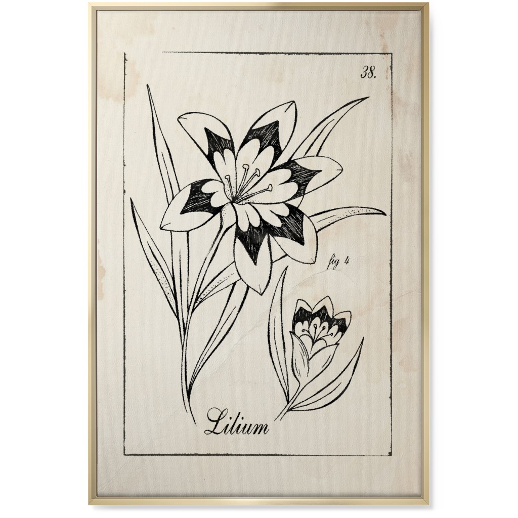 Vintage Plate Lily Sketch - Beige and Black Wall Art, Gold, Single piece, Canvas, 24x36, Beige