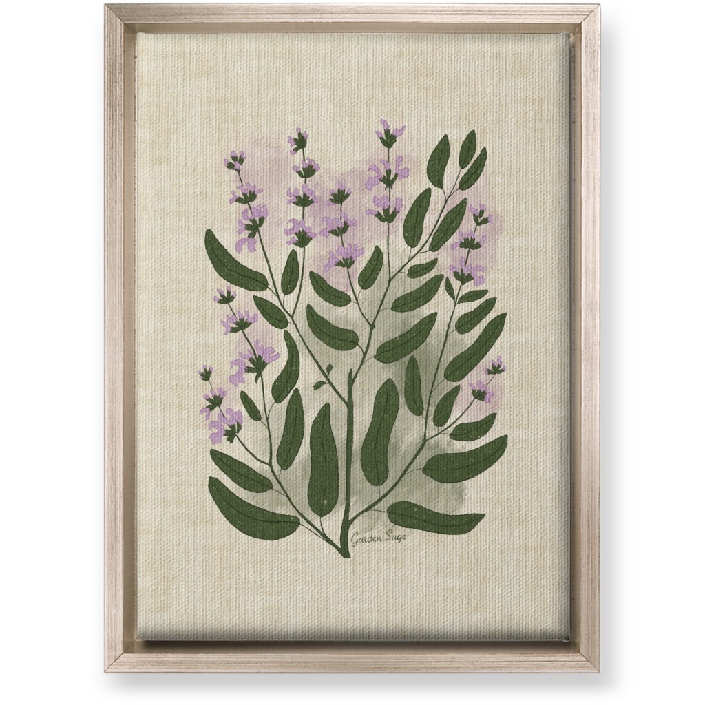 Garden Sage Botanical Illustration Wall Art, Metallic, Single piece, Canvas, 10x14, Beige