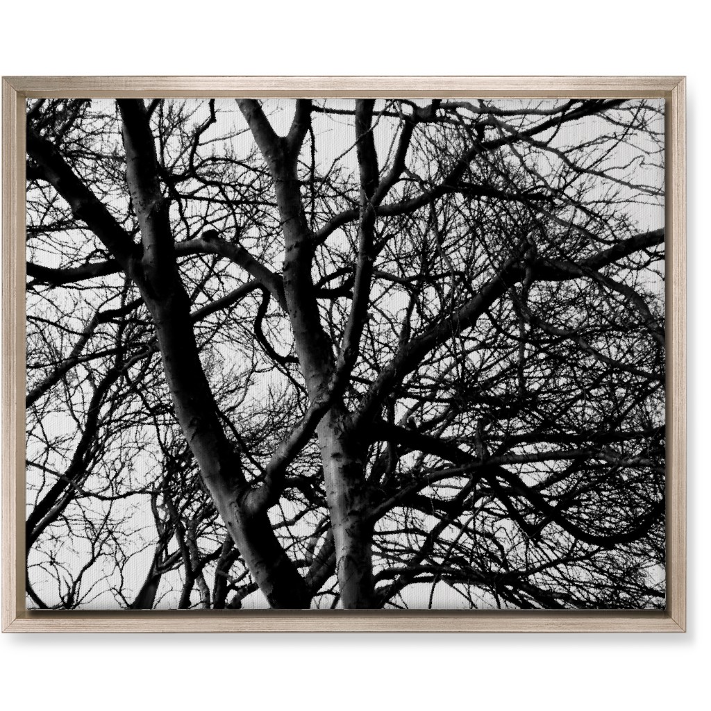 Tree Lace - Neutral Wall Art, Metallic, Single piece, Canvas, 16x20, Black, Black