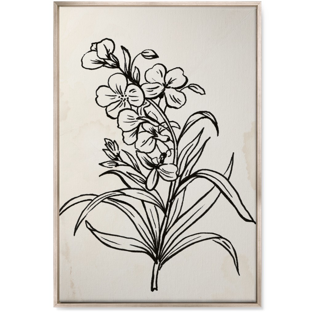 Vintage Wallflower Sketch - Beige and Black Wall Art, Metallic, Single piece, Canvas, 24x36, Beige