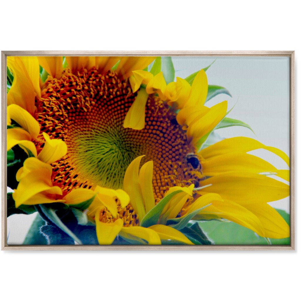 Sunflower and Bee - Yellow Wall Art, Metallic, Single piece, Canvas, 24x36, Yellow