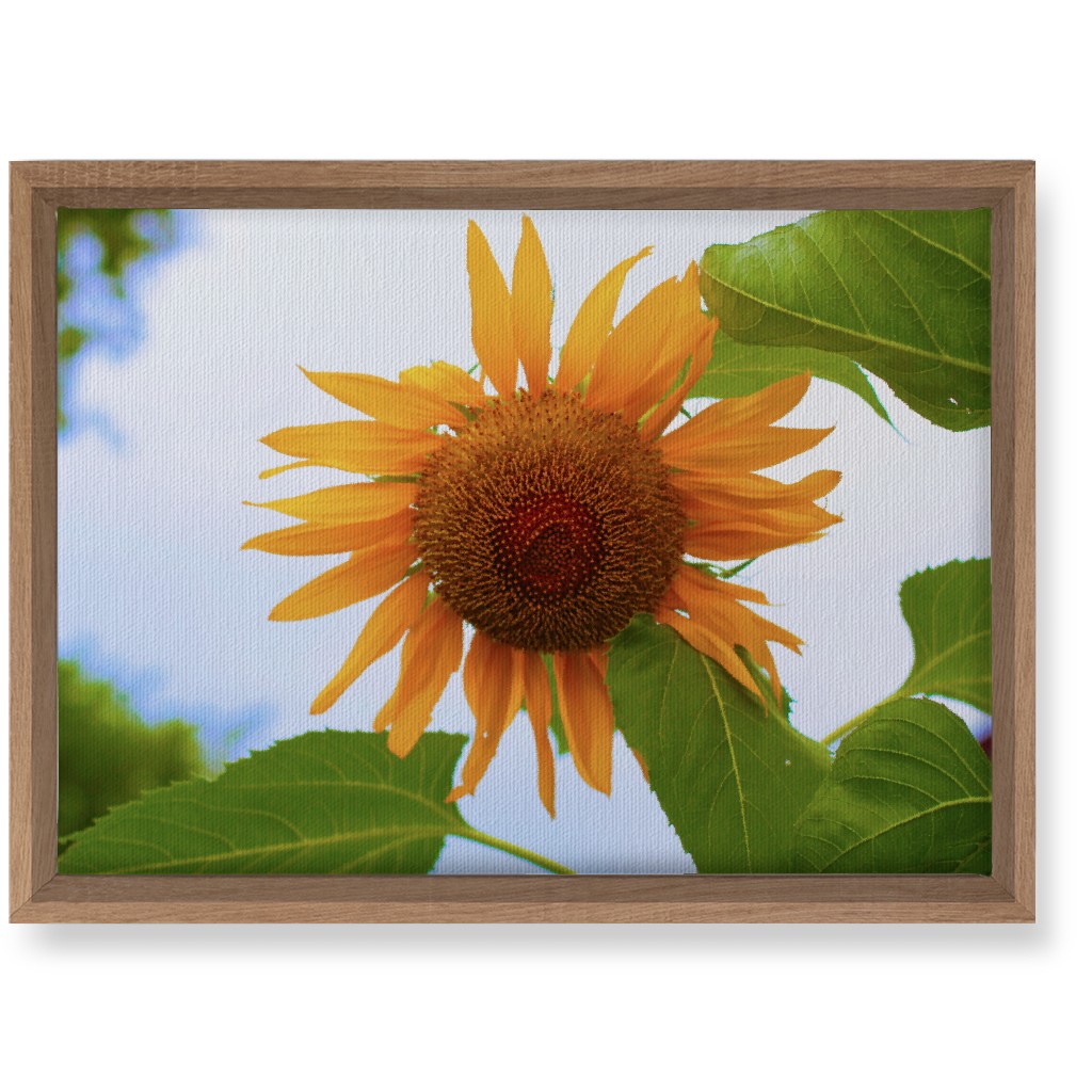 Sunny Sunflower - Yellow Wall Art, Natural, Single piece, Canvas, 10x14, Yellow