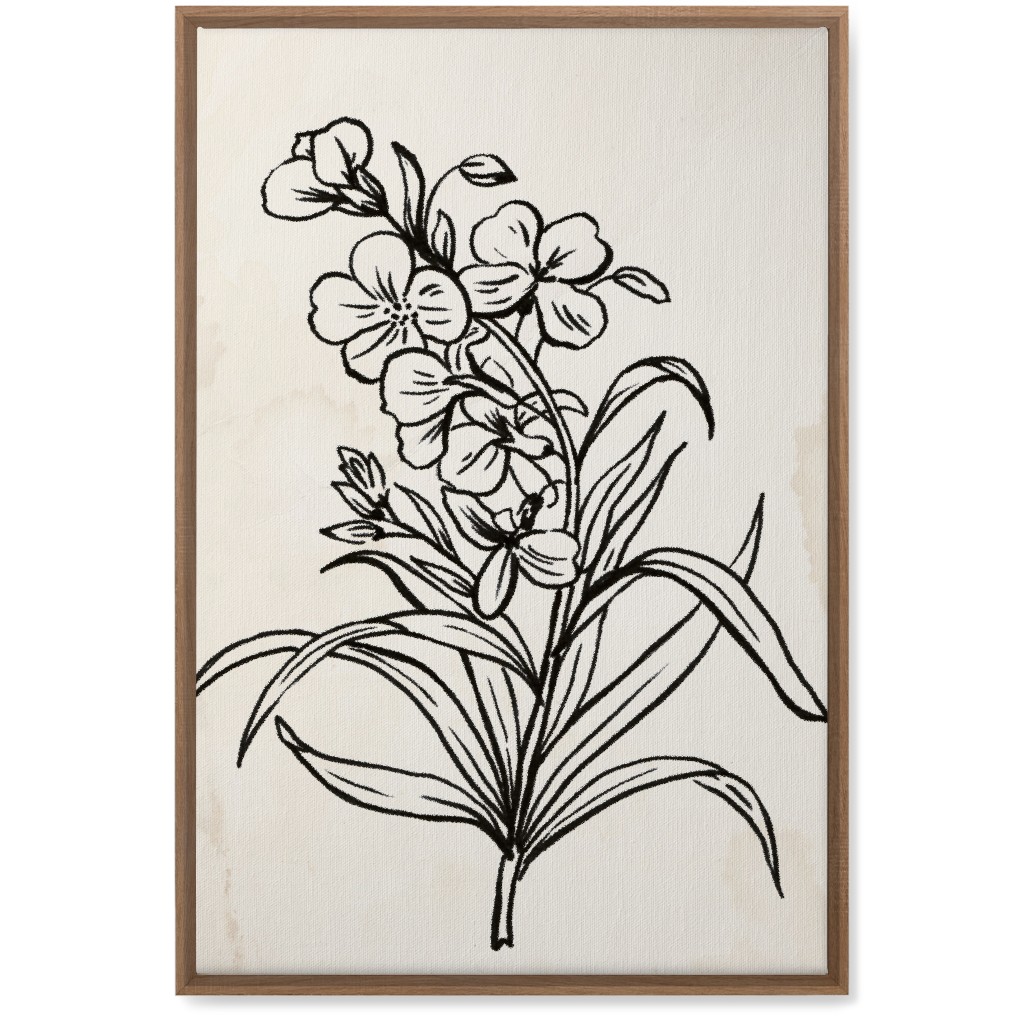 Vintage Wallflower Sketch - Beige and Black Wall Art, Natural, Single piece, Canvas, 20x30, Beige