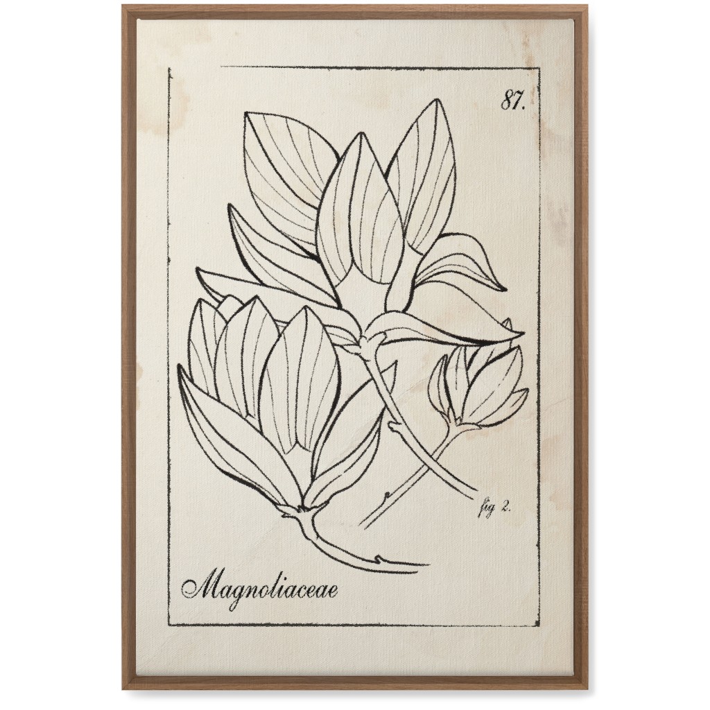Vintage Plate Magnolia Sketch - Beige and Black Wall Art, Natural, Single piece, Canvas, 20x30, Beige