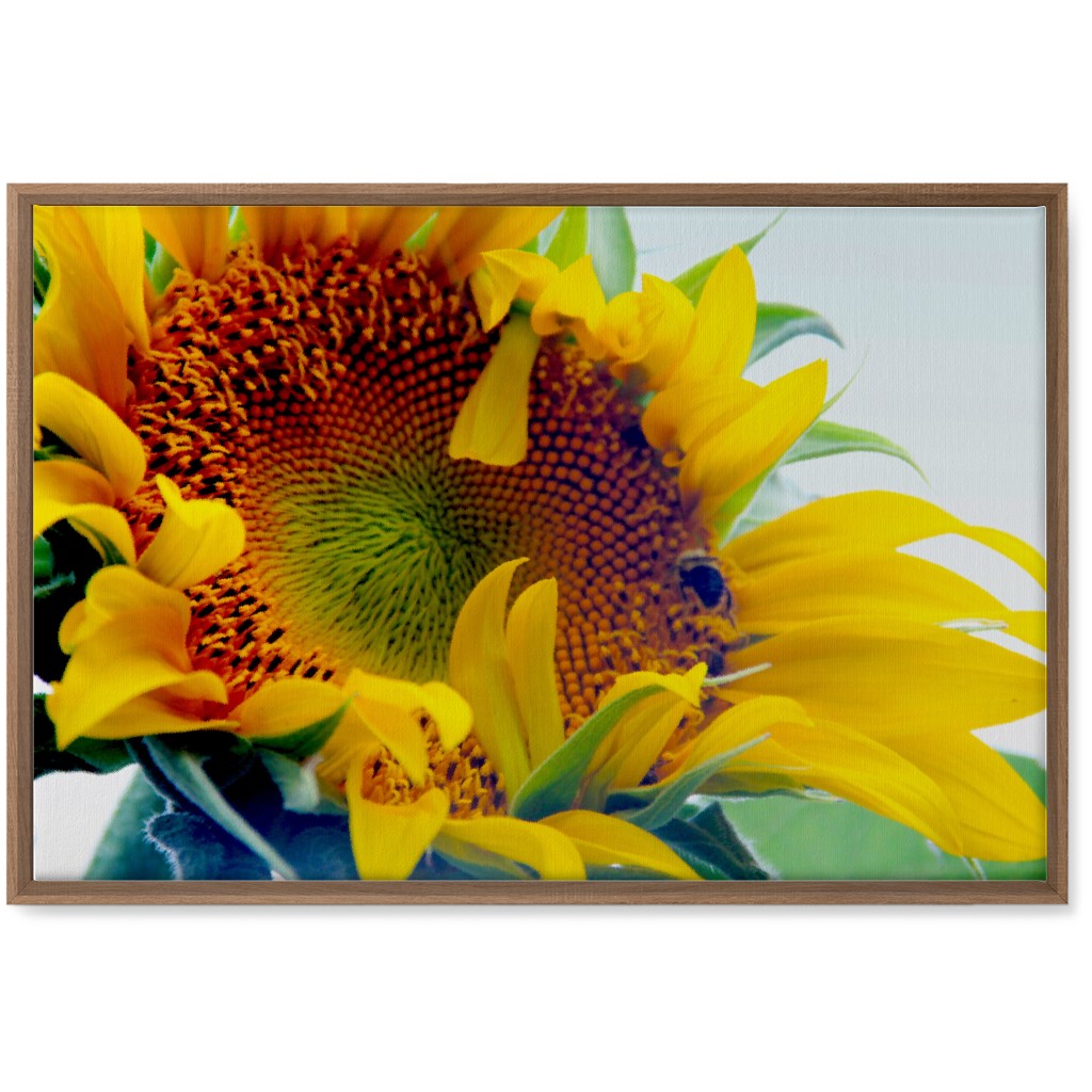 Sunflower and Bee - Yellow Wall Art, Natural, Single piece, Canvas, 20x30, Yellow, Classic Yellow