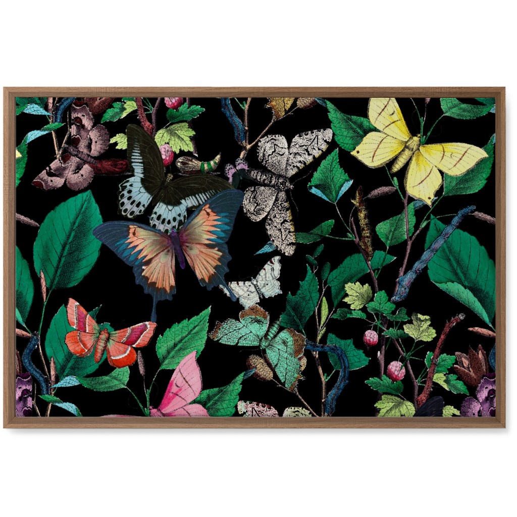 Butterfly Sanctuary - Bright on Black Wall Art, Natural, Single piece, Canvas, 20x30, Multicolor