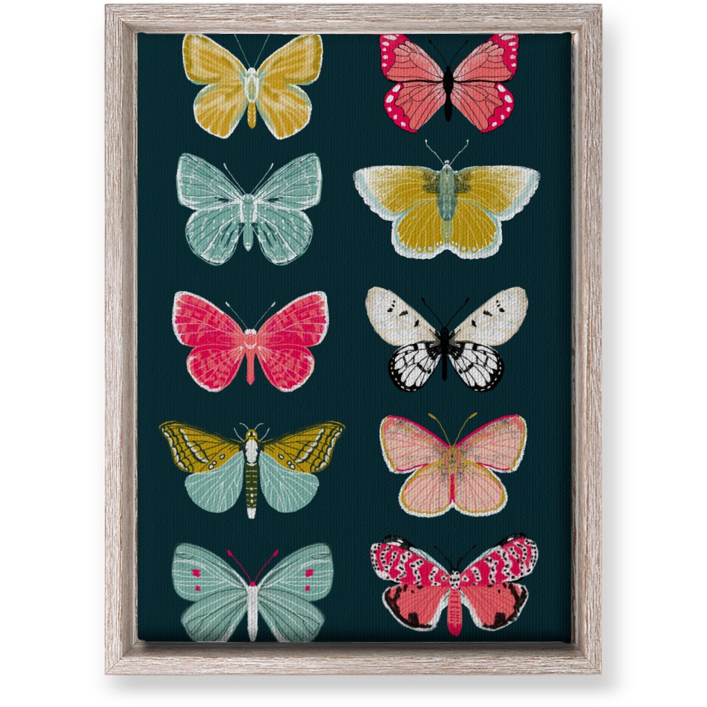 Butterflies Botanic Nature - Multi on Navy Wall Art, Rustic, Single piece, Canvas, 10x14, Multicolor