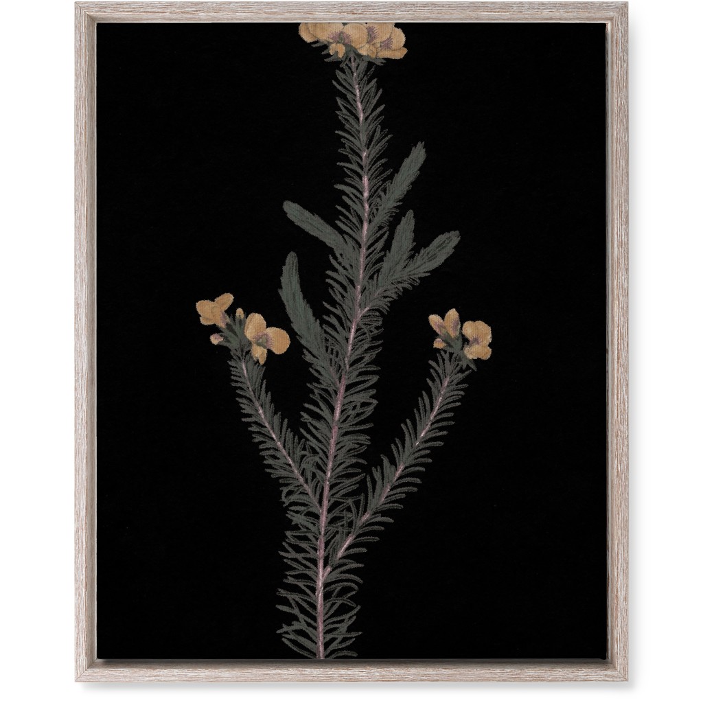 Midnight Botanical - Black and Green Wall Art, Rustic, Single piece, Canvas, 16x20, Black, Black