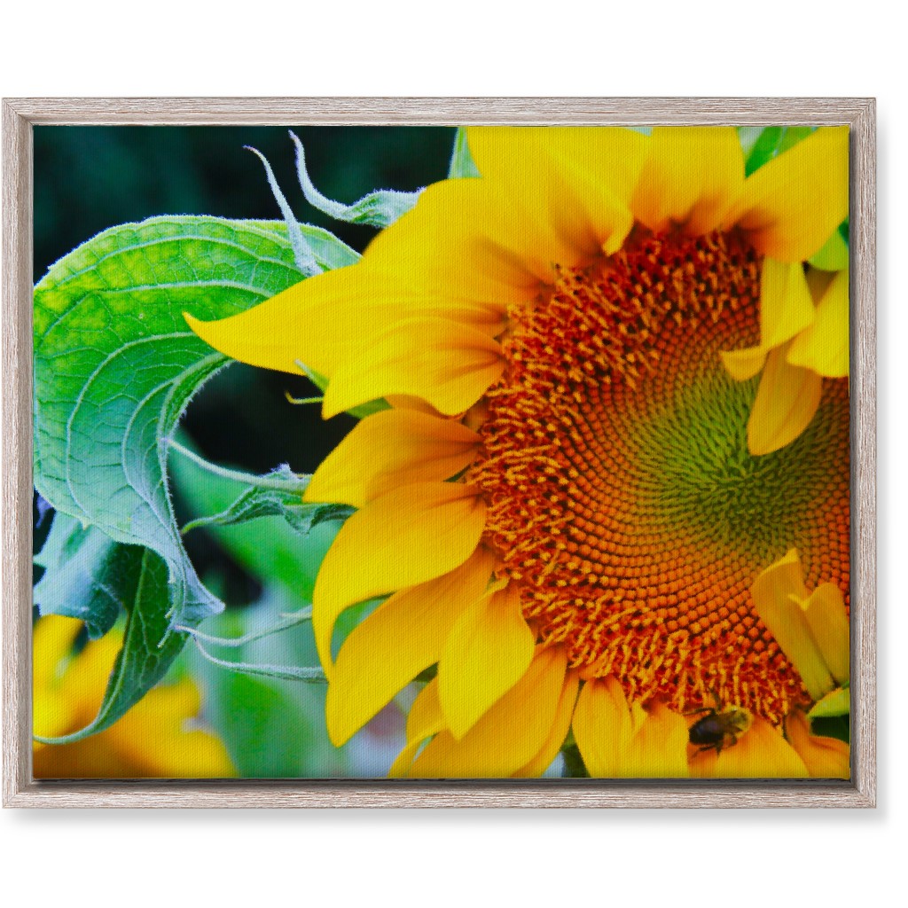 Big Sunflower - Yellow Wall Art, Rustic, Single piece, Canvas, 16x20, Yellow, Classic Yellow