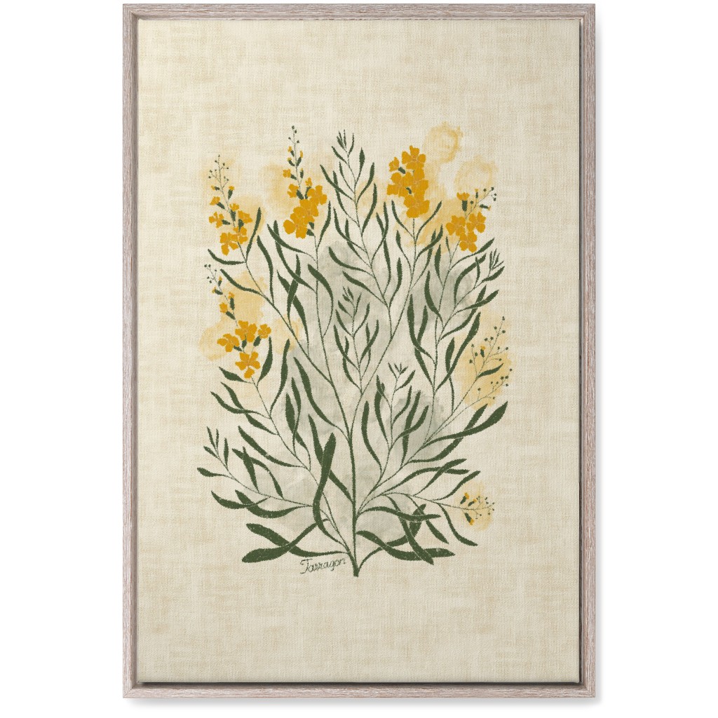 Tarragon - Botanical Illustration Wall Art, Rustic, Single piece, Canvas, 20x30, Beige, Pearl