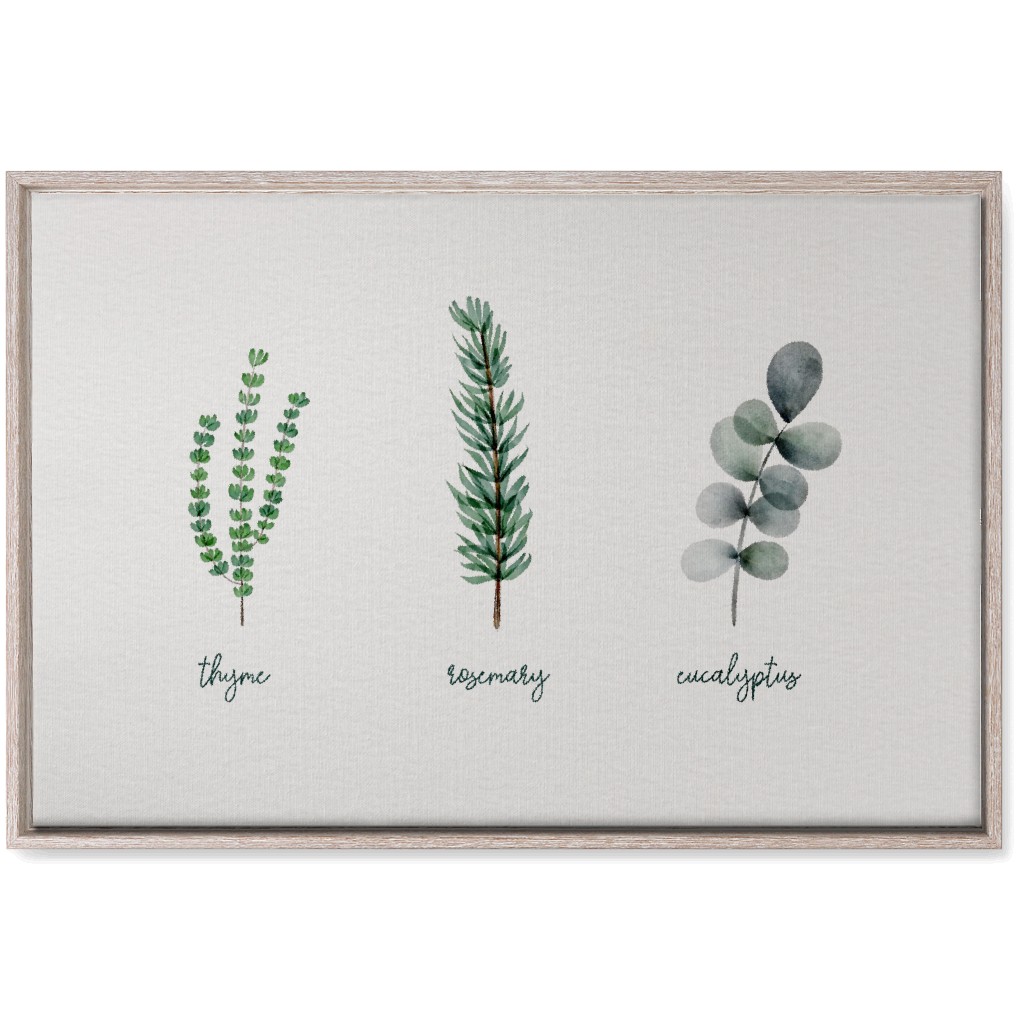 Watercolor Botanicals - Green Wall Art, Rustic, Single piece, Canvas, 20x30, Green, Classic Green