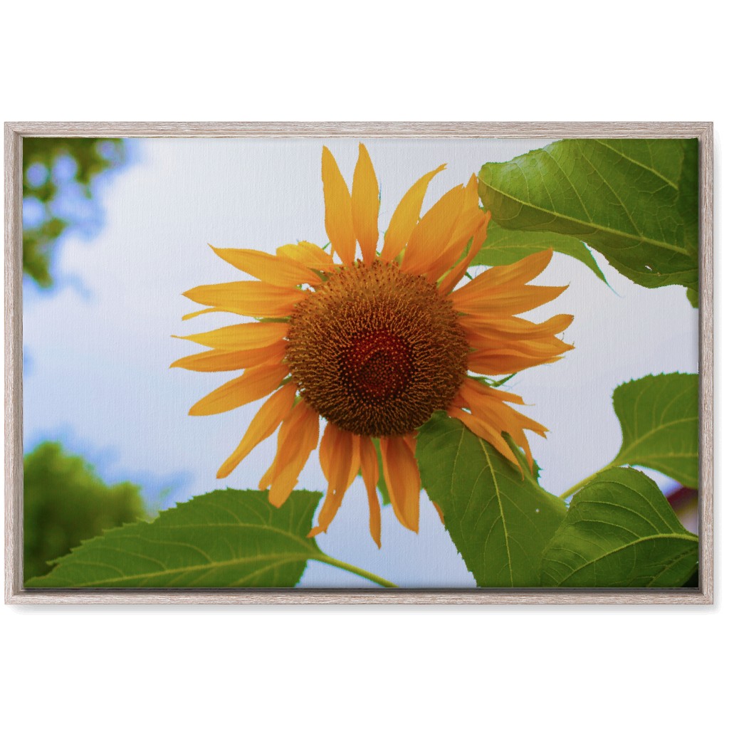 Sunny Sunflower - Yellow Wall Art, Rustic, Single piece, Canvas, 20x30, Yellow