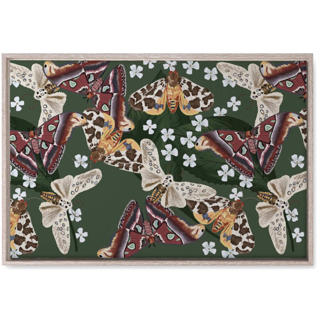 Moth Frenzy - Multi Wall Art, Rustic, Single piece, Canvas, 20x30, Multicolor