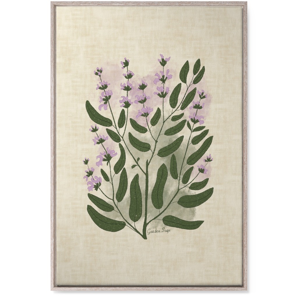 Garden Sage Botanical Illustration Wall Art, Rustic, Single piece, Canvas, 24x36, Beige