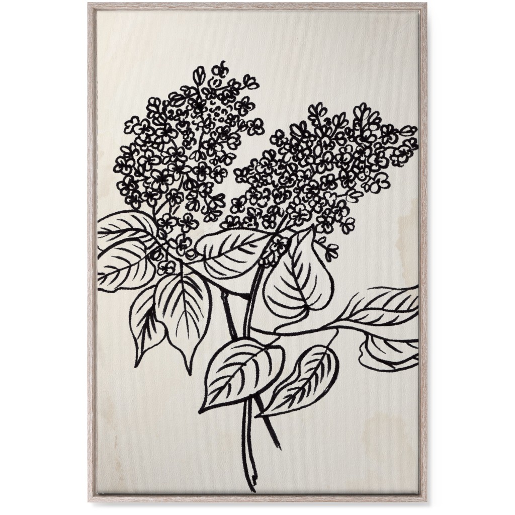 Vintage Lilac Sketch - Beige and Black Wall Art, Rustic, Single piece, Canvas, 24x36, Beige