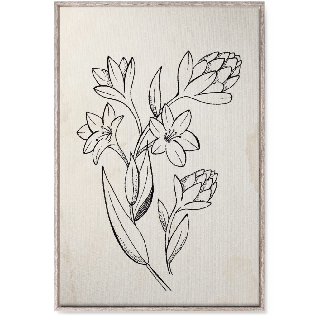 Vintage Tuberose Sketch - Beige and Black Wall Art, Rustic, Single piece, Canvas, 24x36, Beige, Pearl