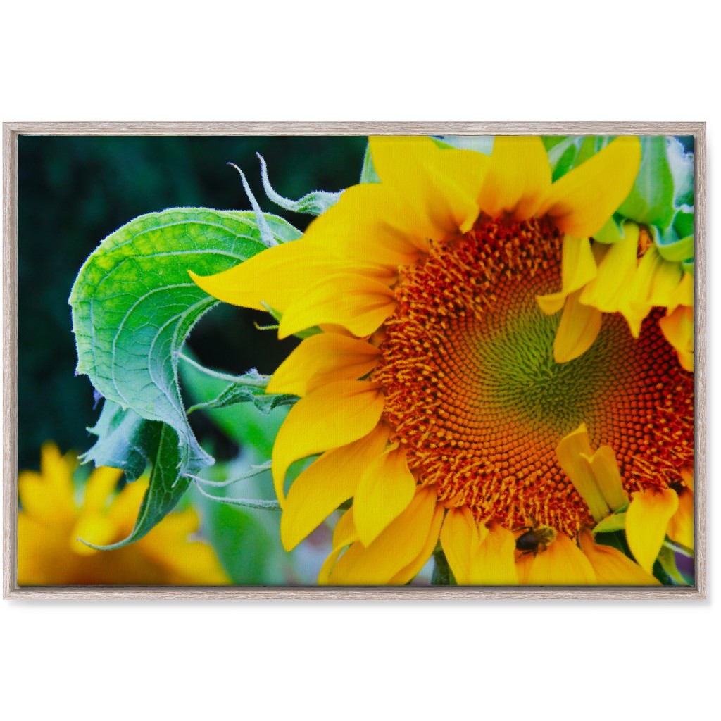 Big Sunflower - Yellow Wall Art, Rustic, Single piece, Canvas, 24x36, Yellow