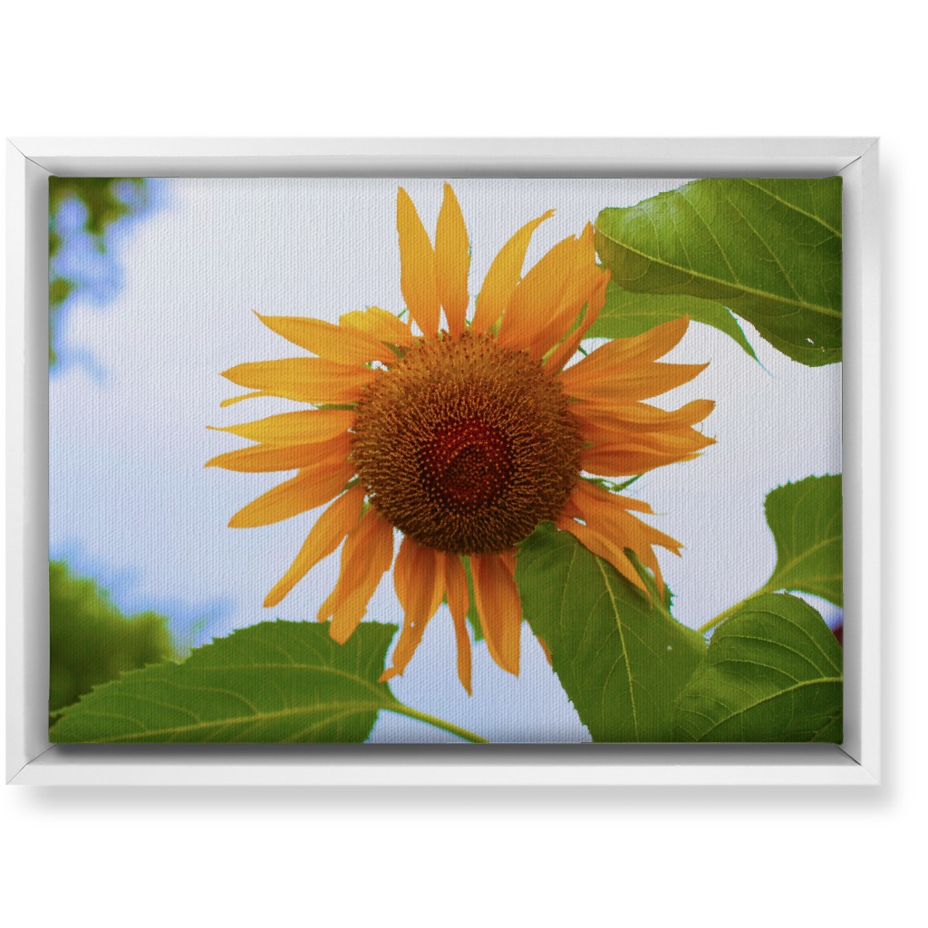 Sunny Sunflower - Yellow Wall Art, White, Single piece, Canvas, 10x14, Yellow