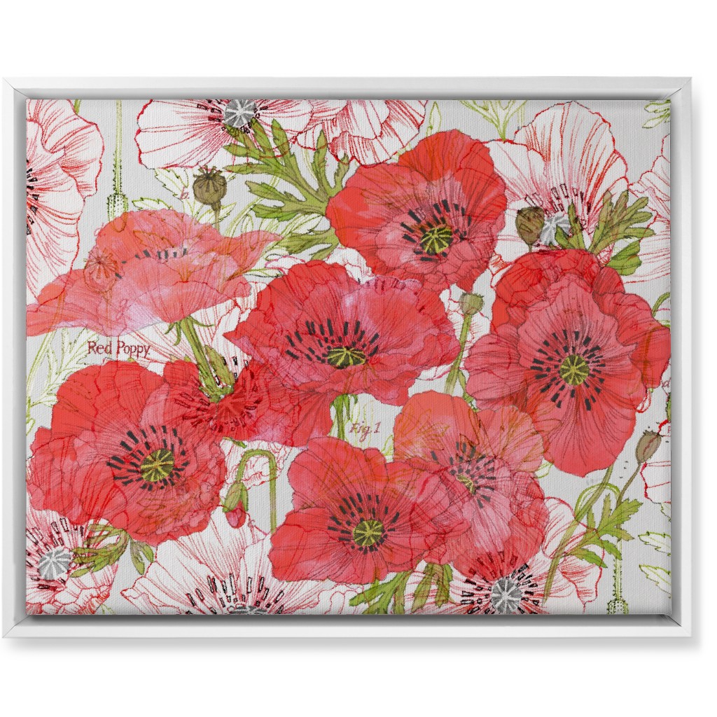 Poppy Romance - Red Wall Art, White, Single piece, Canvas, 16x20, Red