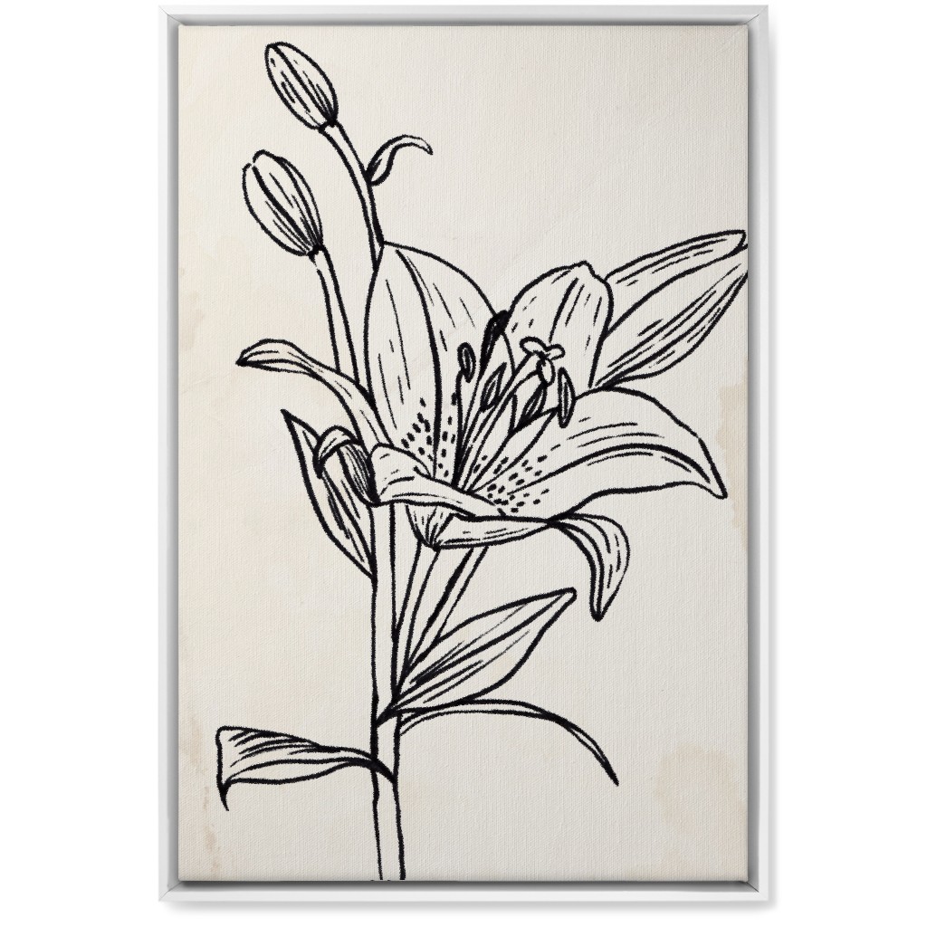 Vintage Lily Sketch - Beige and Black Wall Art, White, Single piece, Canvas, 20x30, Beige