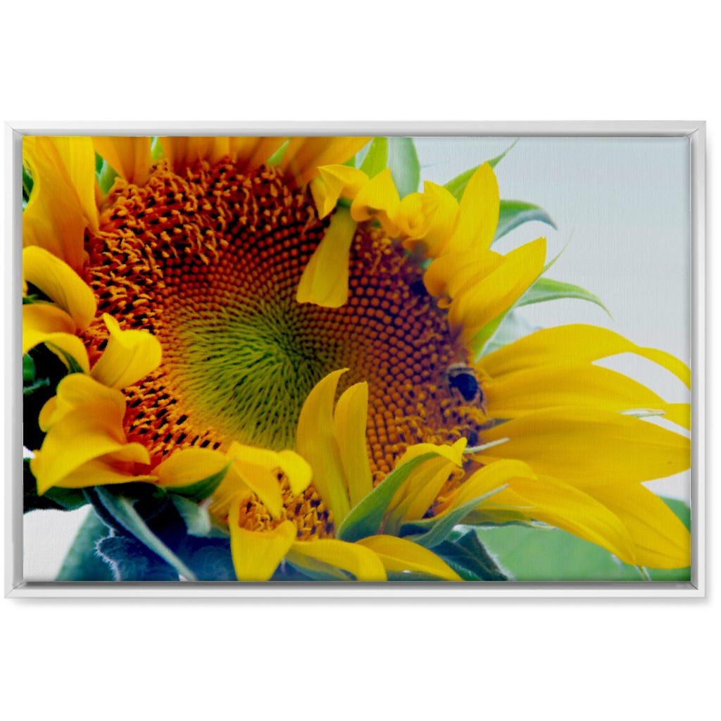 Sunflower and Bee - Yellow Wall Art, White, Single piece, Canvas, 20x30, Yellow