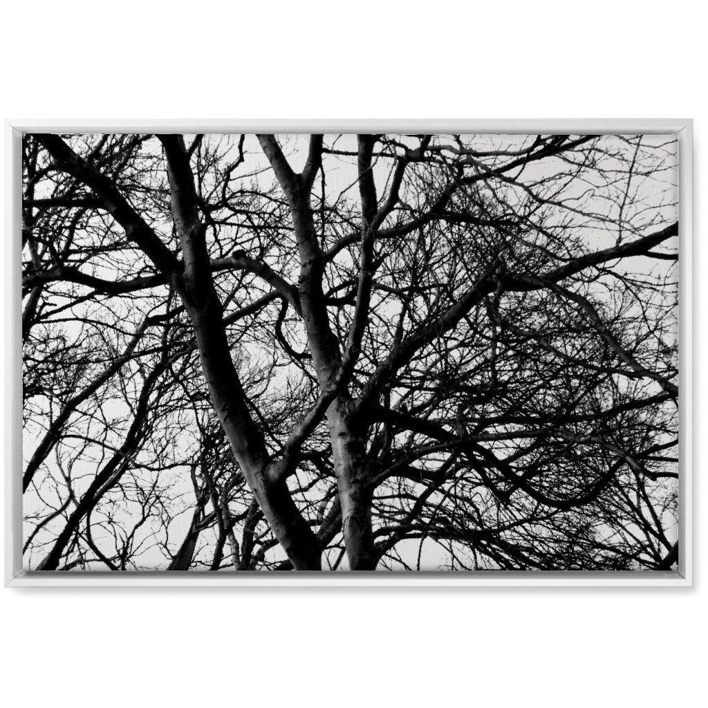 Tree Lace - Neutral Wall Art, White, Single piece, Canvas, 20x30, Black