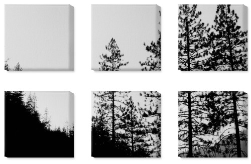 Symmetrical Six Spread Canvas Prints, No Frame, Multi piece, Multicolor, Multi