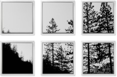 symmetrical six spread canvas prints