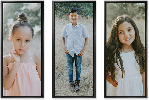 Three Panoramic 10x24 Mounted Wall Art, Multi piece, Black, Multicolor, Multi