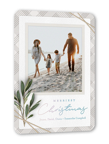 Twined Stems Holiday Card, Gray, Iridescent Foil, 5x7, Christmas, Matte, Personalized Foil Cardstock, Rounded, Gray