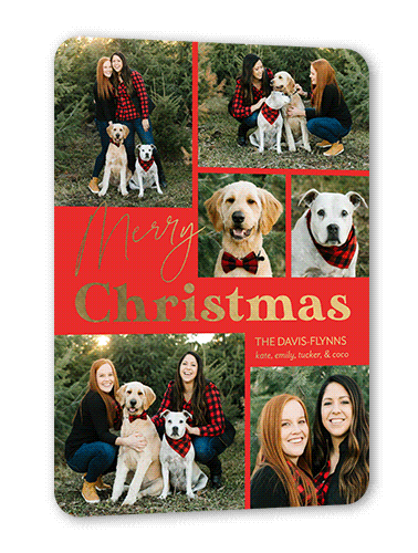 Swanky Message Holiday Card, Gold Foil, Red, 5x7, Christmas, Matte, Personalized Foil Cardstock, Rounded
