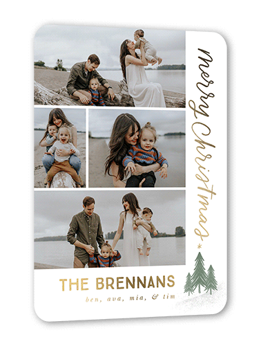 Family Of Trees Holiday Card, White, Gold Foil, 5x7, Christmas, Matte, Personalized Foil Cardstock, Rounded