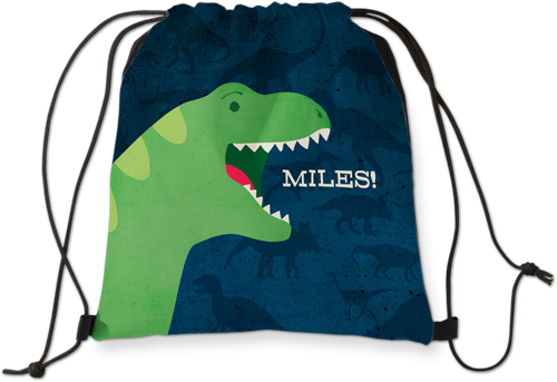 Dinosaur backpack online matalan