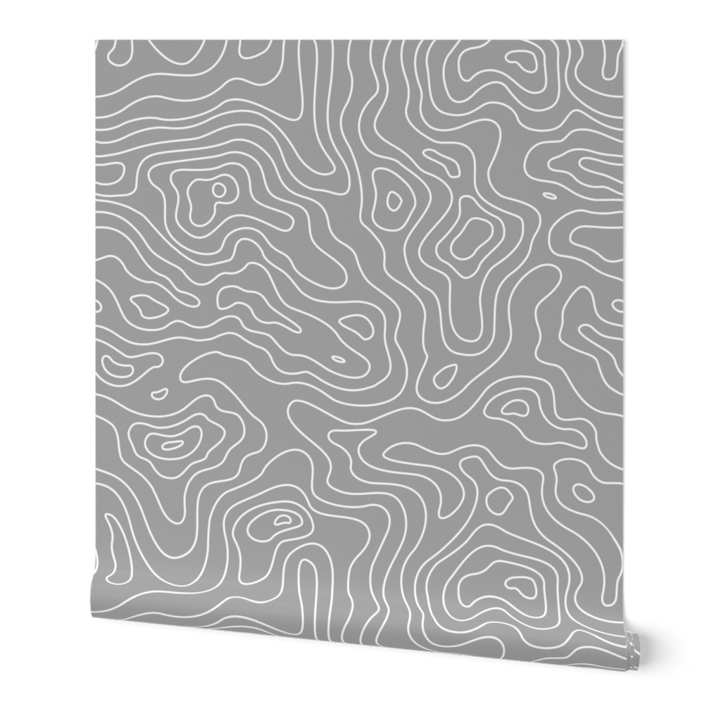 Topographic Map - Gray Wallpaper, 2'x3', Prepasted Removable Smooth, Gray