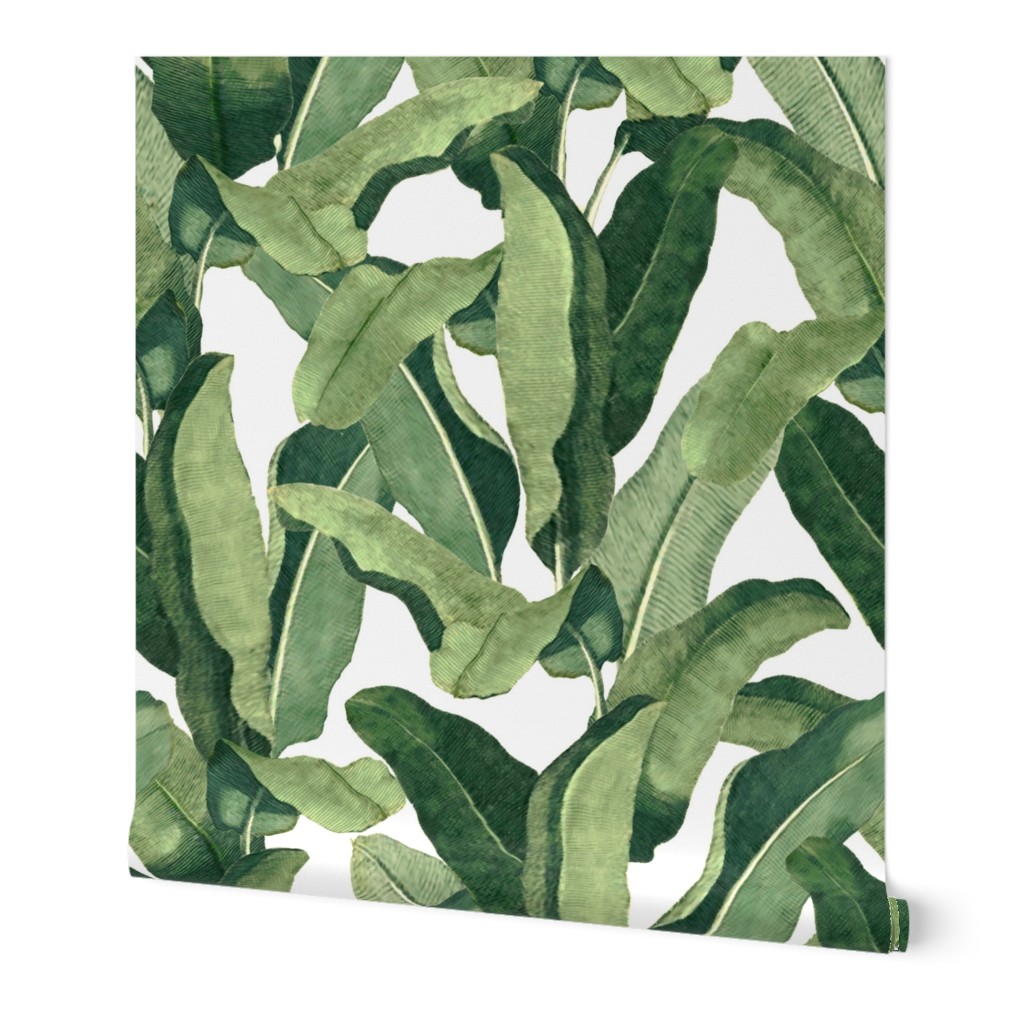 Tropical Leaves - Greens on White Wallpaper, 2'x12', Prepasted Removable Smooth, Green