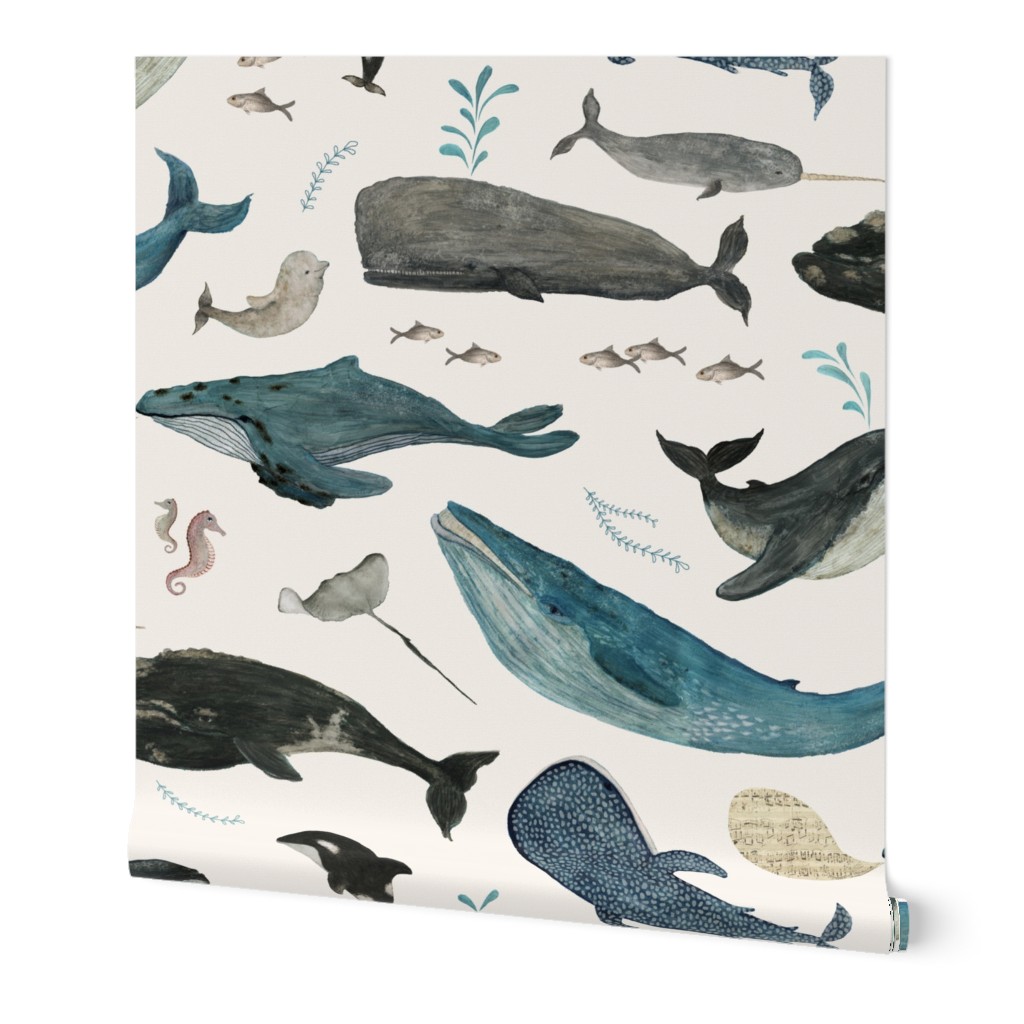 Whale Song - Blue Wallpaper, 2'x12', Prepasted Removable Smooth, Beige