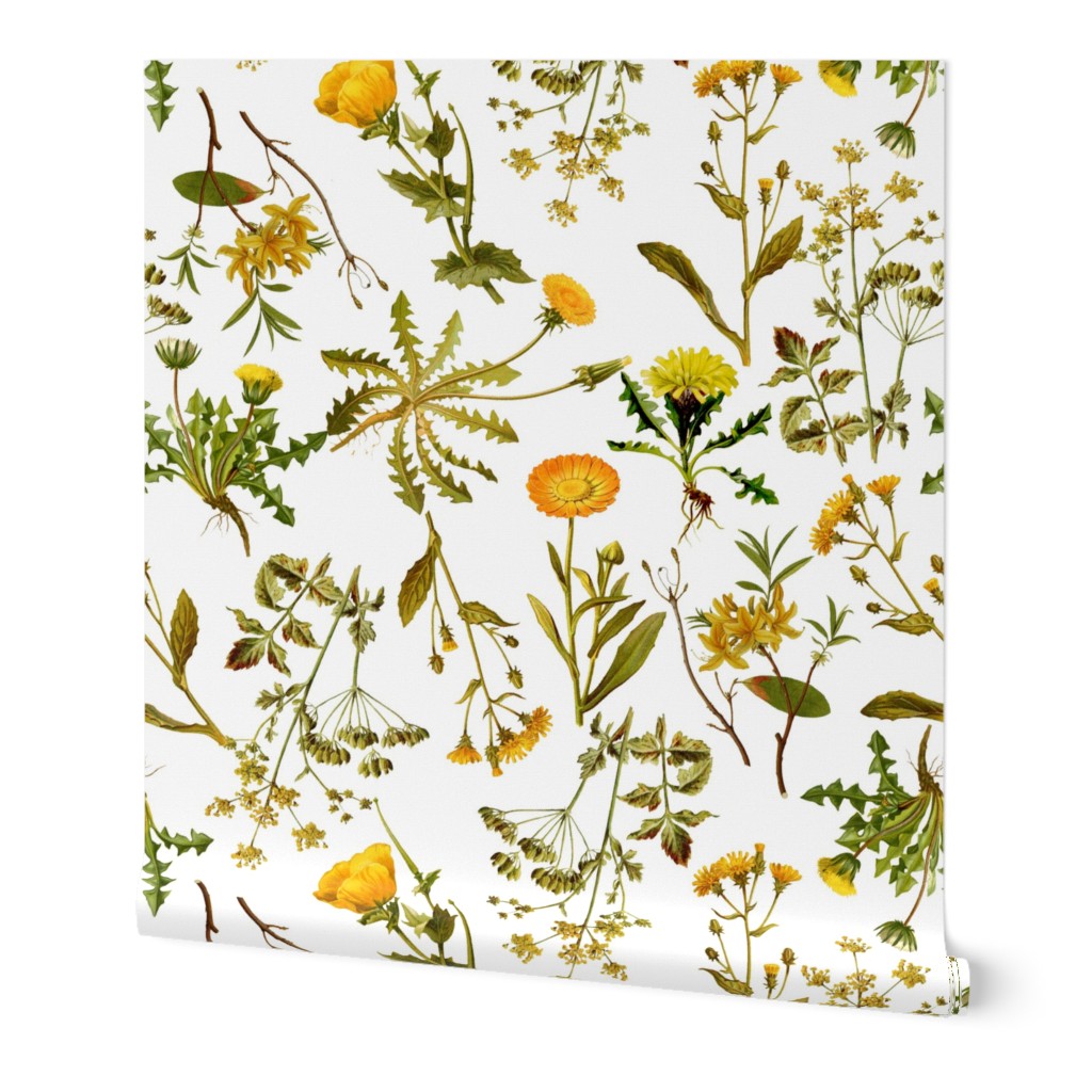 Vintage Wildflowers - Yellow on White Wallpaper, 2'x12', Prepasted Removable Smooth, Yellow