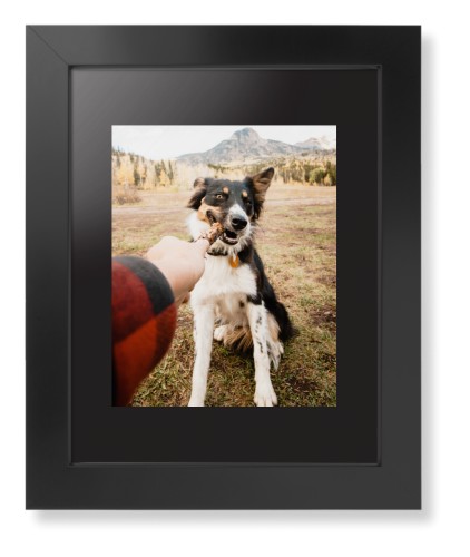 Pet Photo Gallery Framed Print, Black, Contemporary, Black, Black, Single piece, 8x10, Multicolor