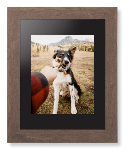 Pet Photo Gallery Framed Print, Walnut, Contemporary, None, Black, Single piece, 8x10, Multicolor