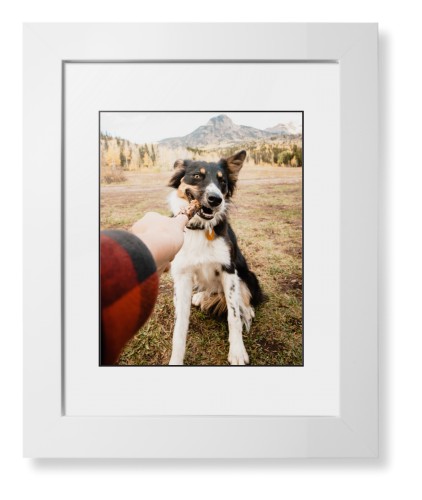Pet Photo Gallery Framed Print, White, Contemporary, Black, White, Single piece, 8x10, Multicolor