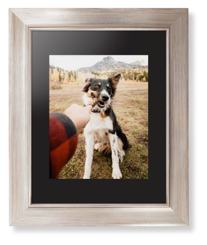 Pet Photo Gallery Framed Print, Metallic, Modern, Black, Black, Single piece, 8x10, Multicolor, multi