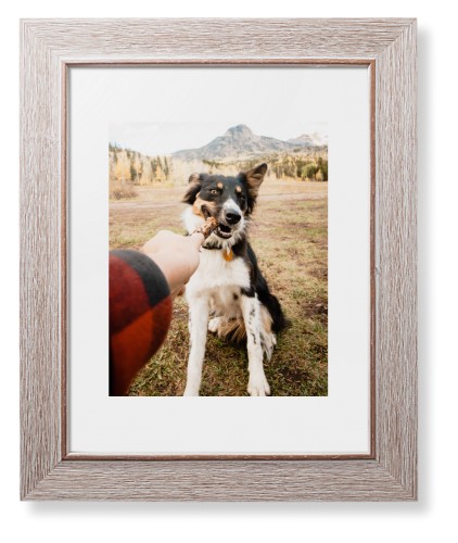 Pet Photo Gallery Framed Print, Rustic, Modern, None, White, Single piece, 8x10, Multicolor