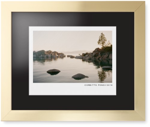 Modern Gallery Framed Print, Matte Gold, Contemporary, White, Black, Single piece, 11x14, White, white