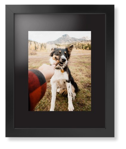 Pet Photo Gallery Framed Print, Black, Contemporary, None, Black, Single piece, 11x14, Multicolor