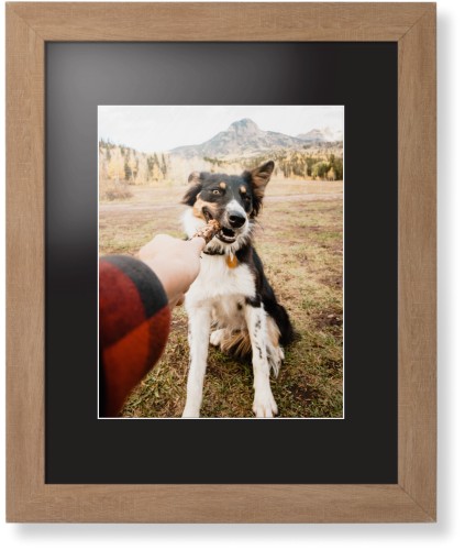 Pet Photo Gallery Framed Print, Natural, Contemporary, White, Black, Single piece, 11x14, Multicolor, multi