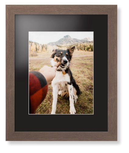 Pet Photo Gallery Framed Print, Walnut, Contemporary, White, Black, Single piece, 11x14, Multicolor