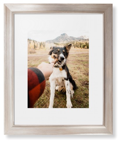 Pet Photo Gallery Framed Print, Metallic, Modern, None, White, Single piece, 11x14, Multicolor